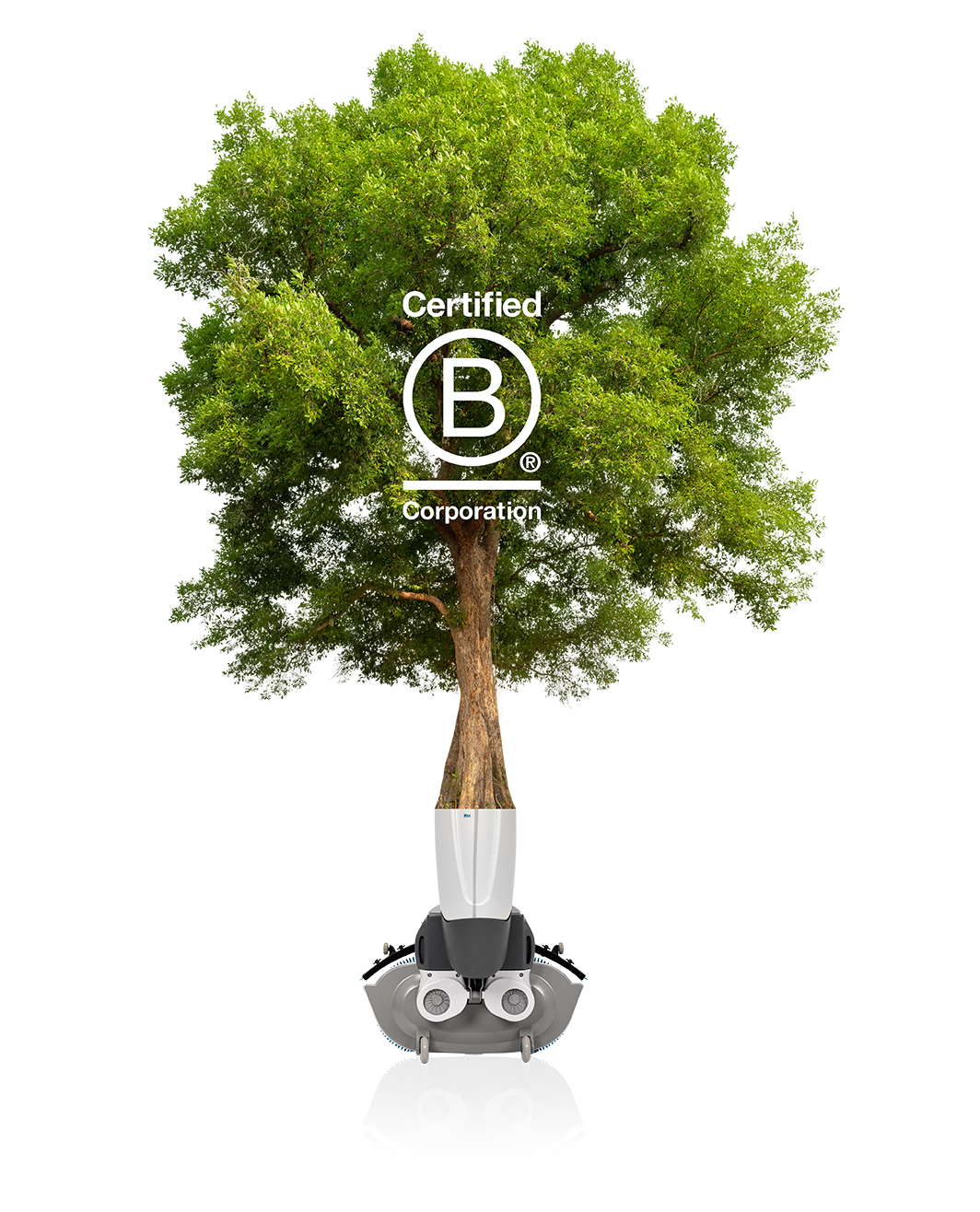 Sustainability_Tree_i-mop_425189944_B Corp logo_LR