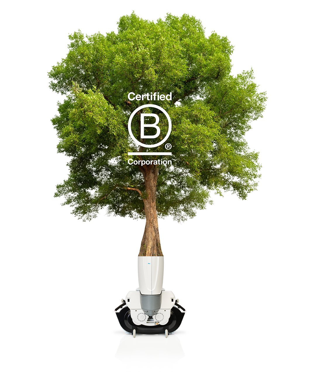 Sustainability_Tree_i-mop_425189944_B-Corp-logo_LR